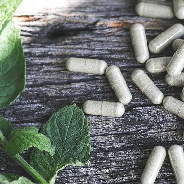 Ancestral Nutrition Primal Energy 100% Grass Fed Beef Organs Women's Formula 120 Capsules