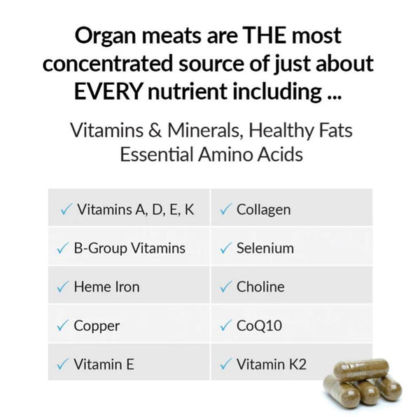 Ancestral Nutrition Primal Energy Women Grass Fed Beef Organs Powder 100gram