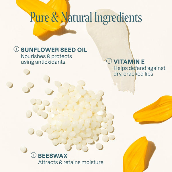 Cliganic Organic Lip Balm Set (6 Flavors) Rainforest Fresh- 100% Natural Hydrating, Moisturizing for Dry Cracked Lips